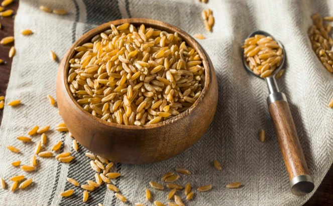 카무트 효소 만드는법 4단계 및 카무트 효소 FAQ 5가지