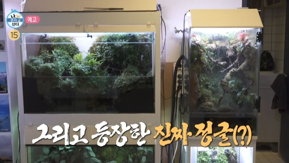 어항이전시되어진모습