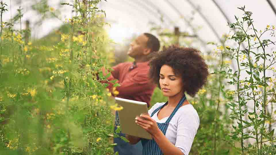 스마트팜 구축 예산 시뮬레이션: 초기비용, 유지비, 수익률까지 계산해보기