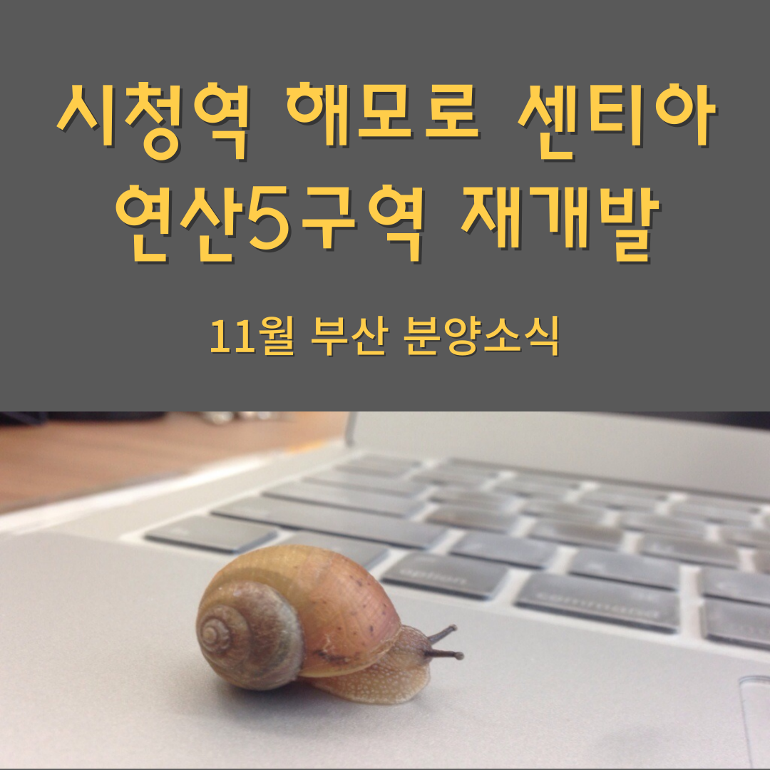 시청역 해모로 센티아