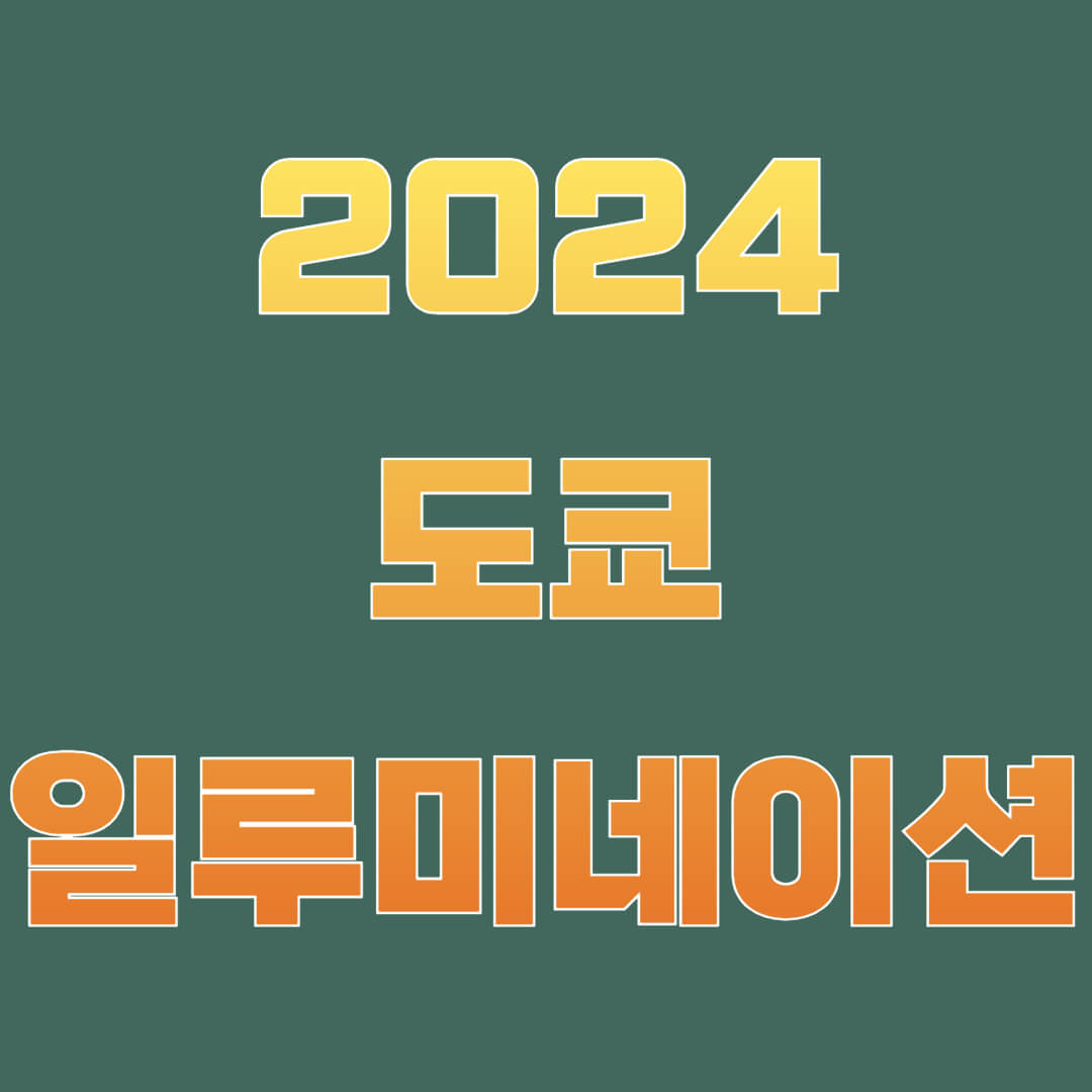2024 도쿄 일루미네이션