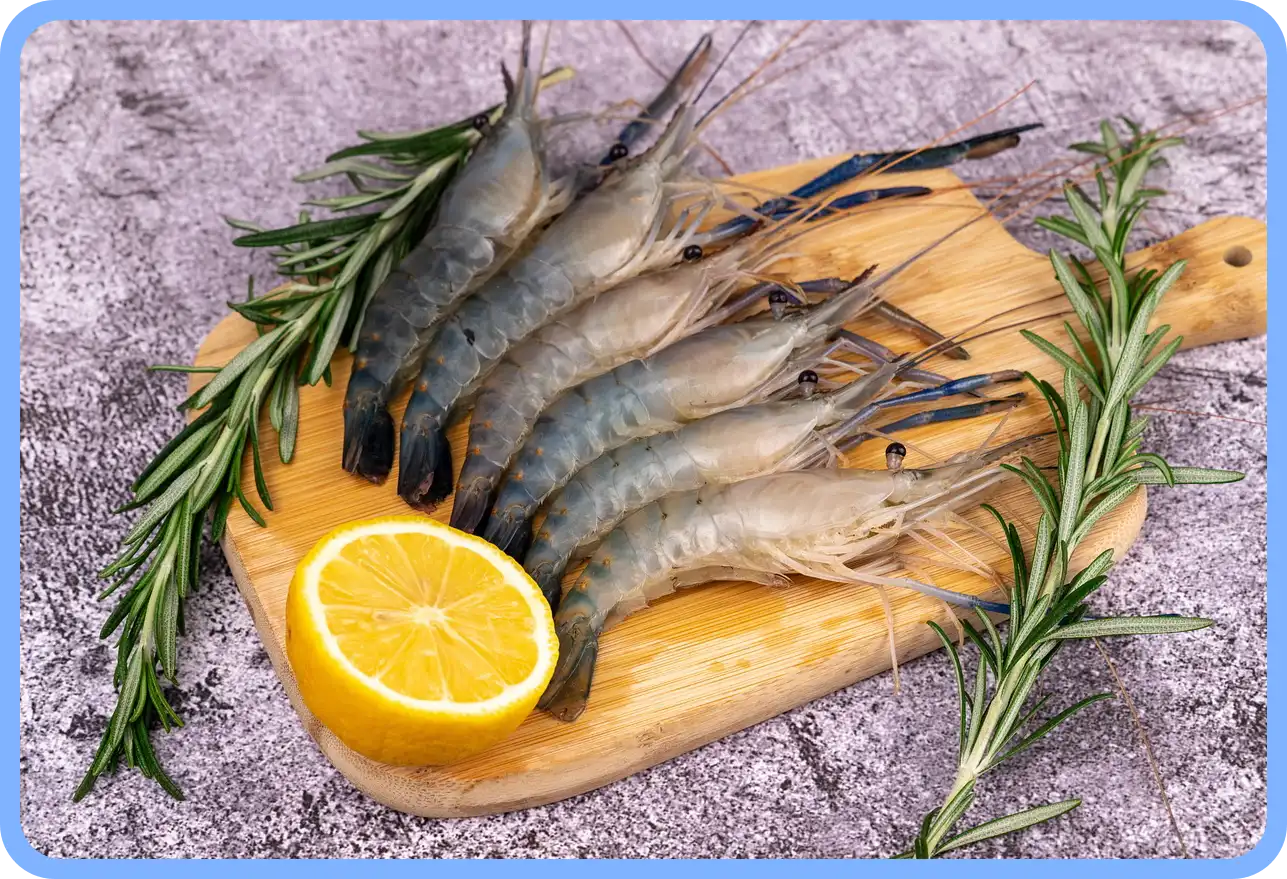 멸치젓 새우젓 굴 천일염 김장 재료 할인 세일 50% 코리아 수산 페스타