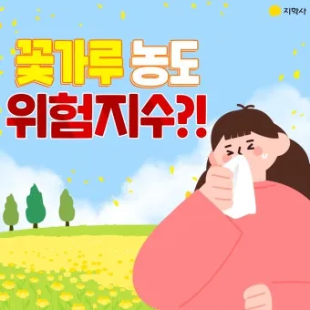 꽃가루 농도 눈 가려움 코막힘 실내 청소 요령_20