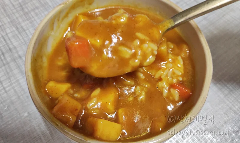 카레 한 숟갈