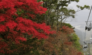 가을여행 단풍 기차여행 추천