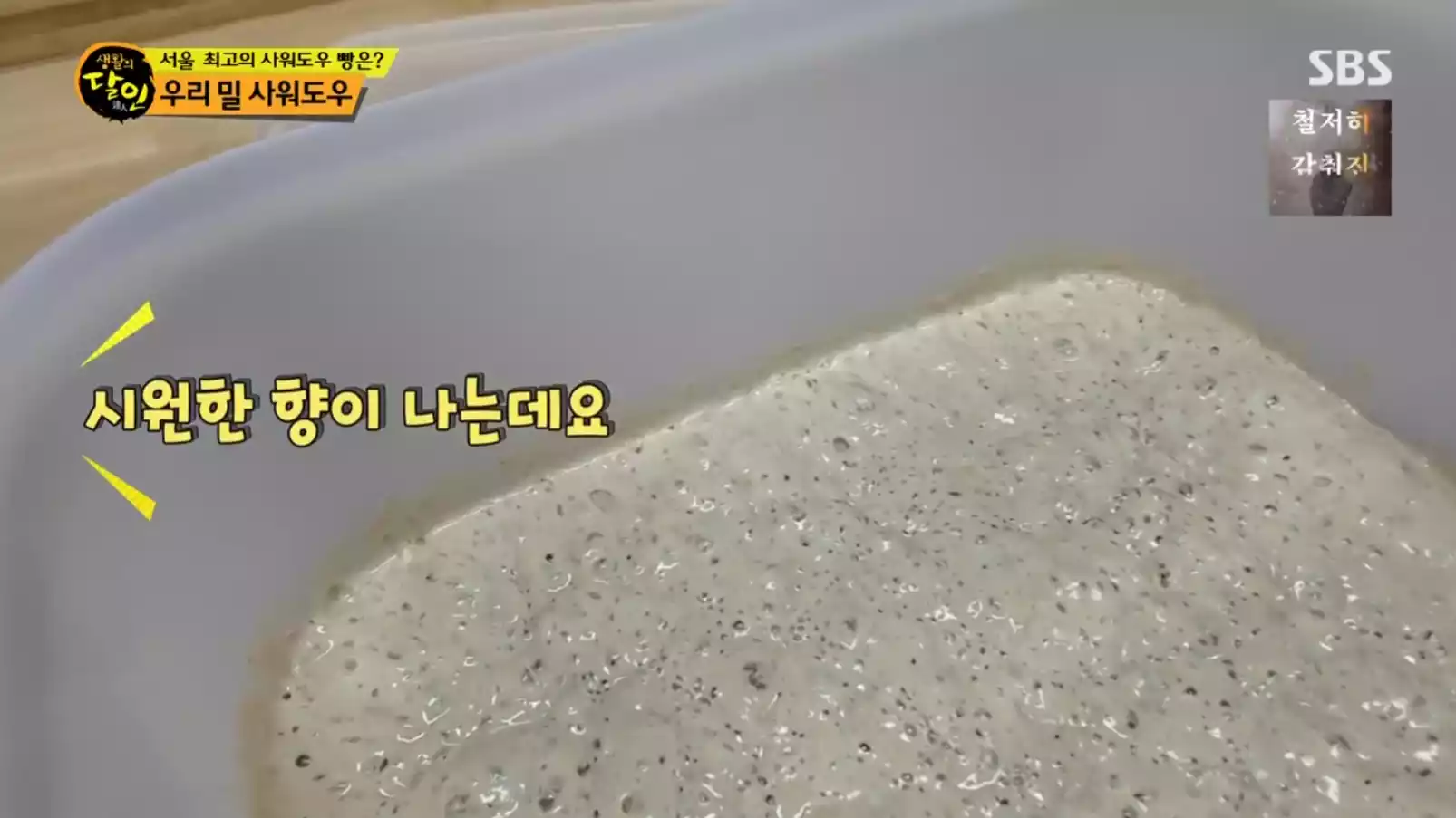 발효종