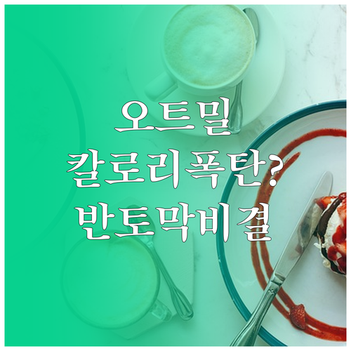 오트밀 팬케이크 영양 성분 비교 및 ..