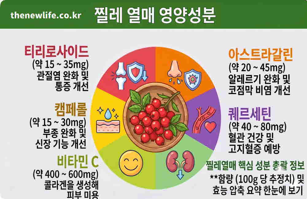 찔레 열매 효능 영양성분