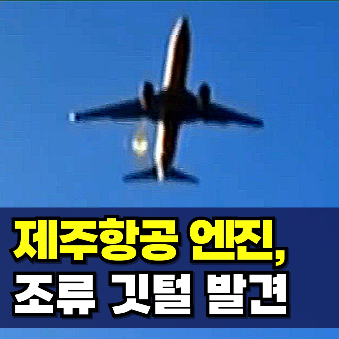 제주항공-엔진-깃털-조류충돌