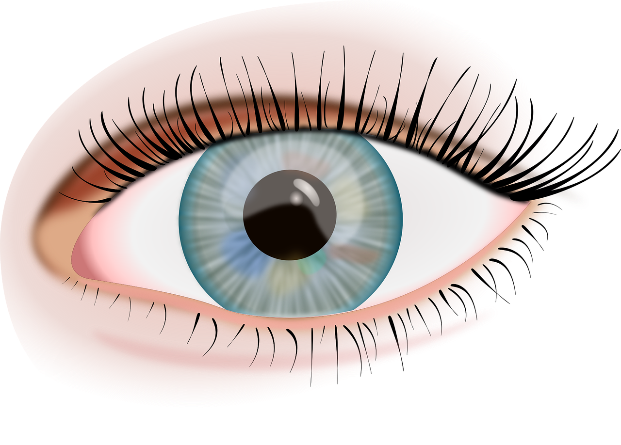 디지털 시대의 필수 자산, 눈 건강을 지키는 다각적 관리법