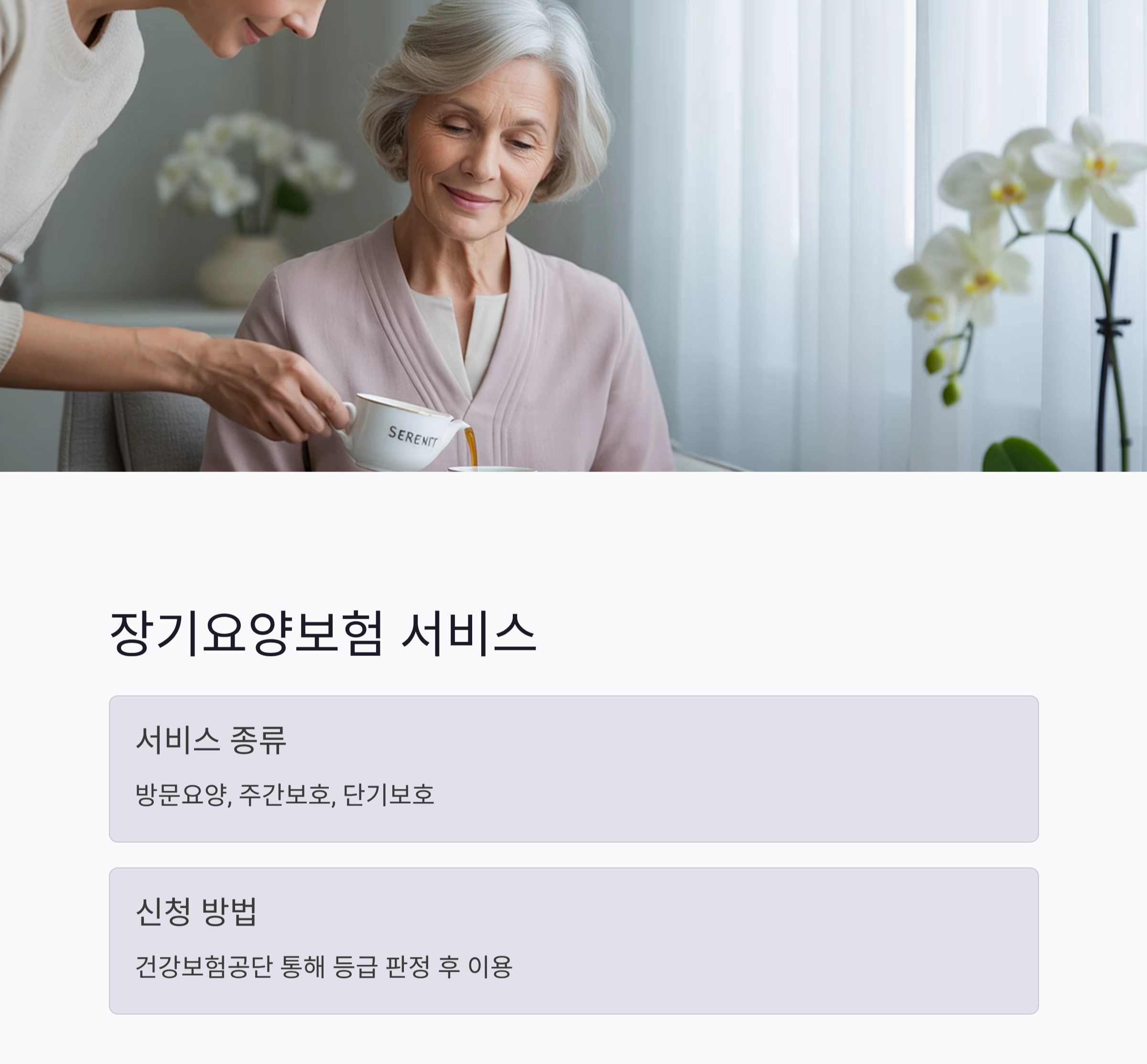 2025년 국가 노인복지 서비스 한눈에 정리 가이드