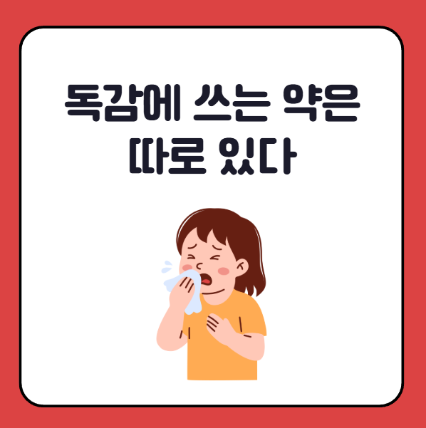 독감에 쓰는 약 타미플루