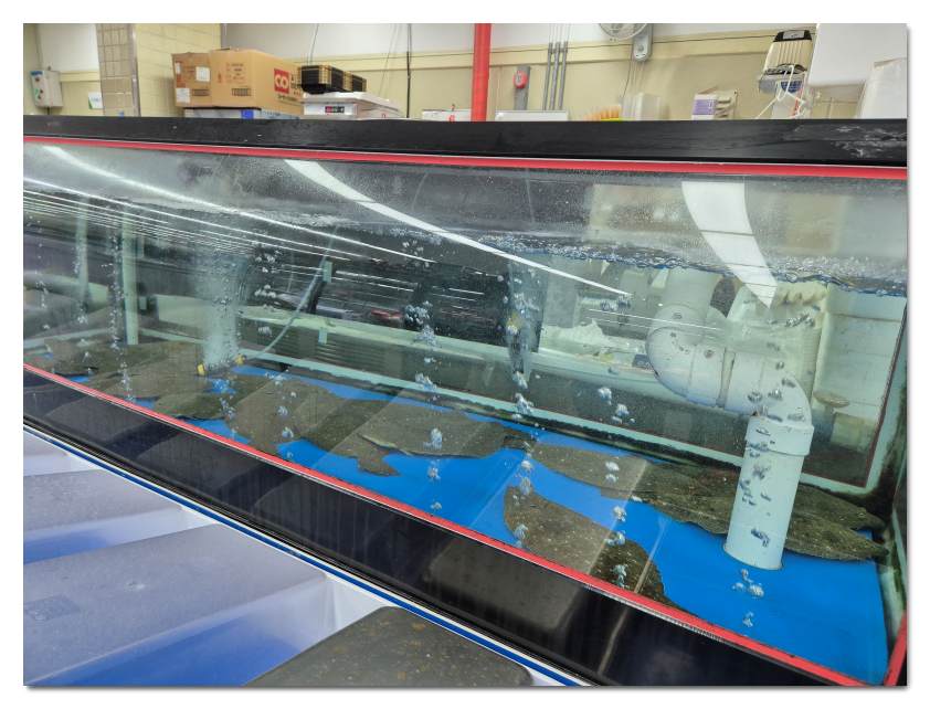 진도-농협-하나로-마트-회타운