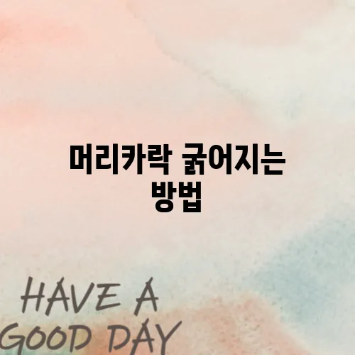 머리카락 굵어지는 방법