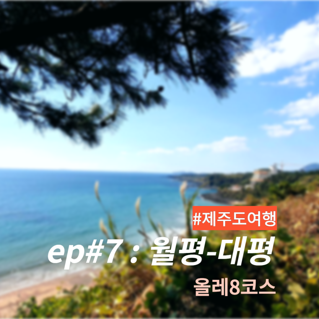 올레8코스