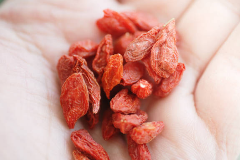 구기자 효능&amp;#44; 효능과 부작용&amp;#44; 먹는법 총정리 (2024ver)