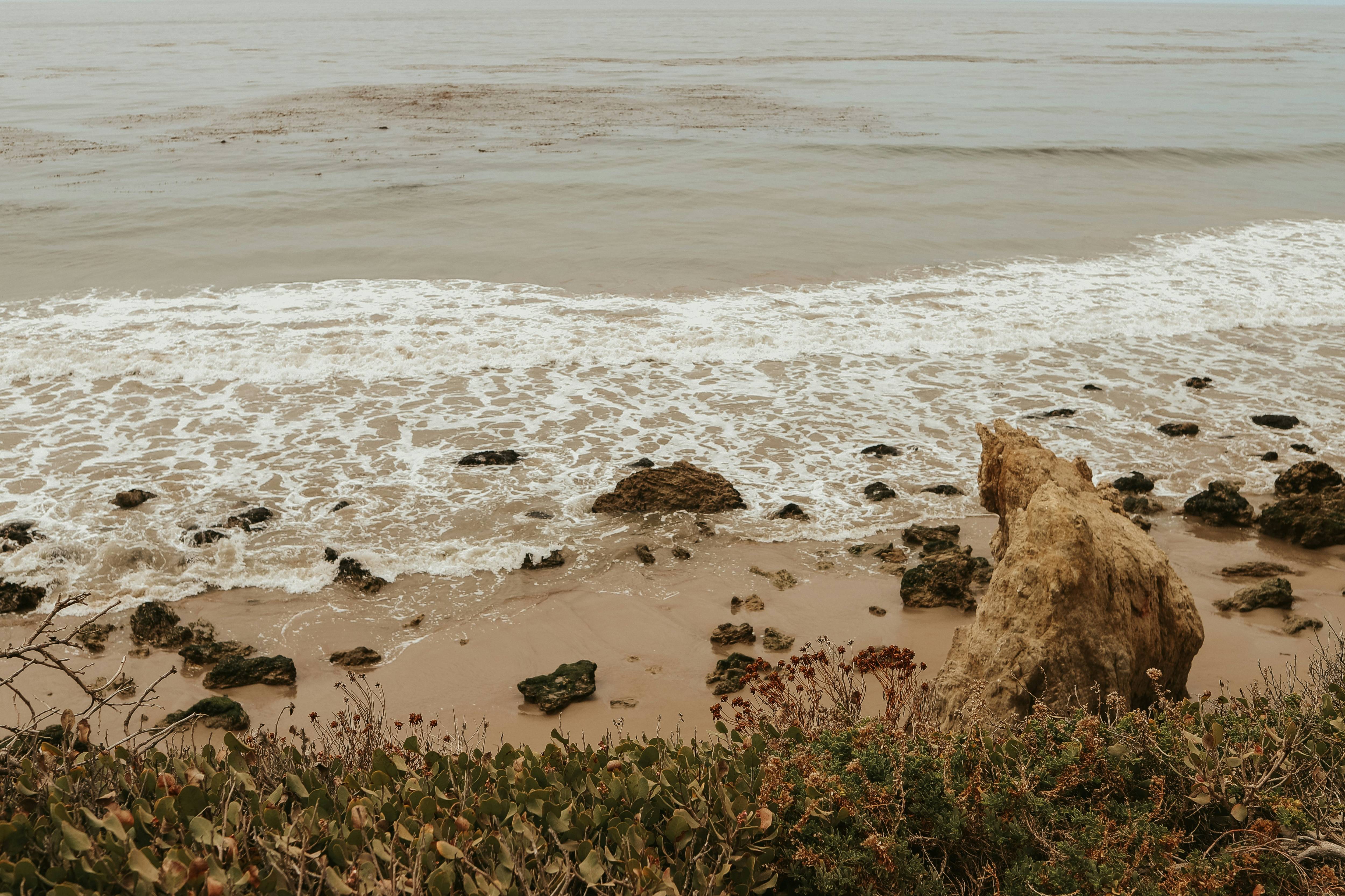 홍합 바다 이미지