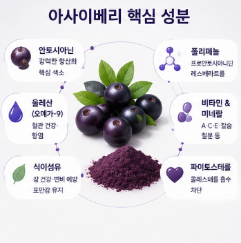 아사이베리분말-효능-먹는방법-부작용-항산화-효과