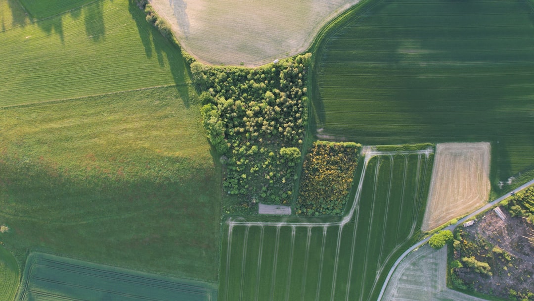 Smart Land Information