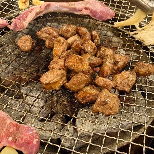 민들레화로-오산시-주변-원동-매화축제-맛집