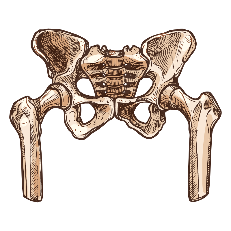 골반 고관절 뚝뚝 소리 나는 이유는?