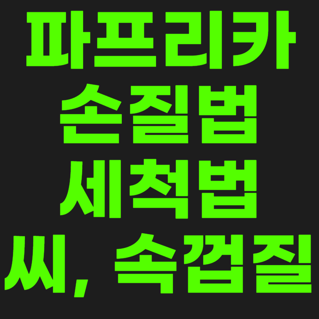 파프리카-손질-세척법-썸네일