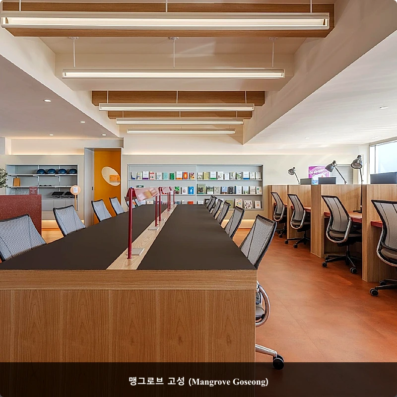 맹그로브 고성 (Mangrove Goseong)_3