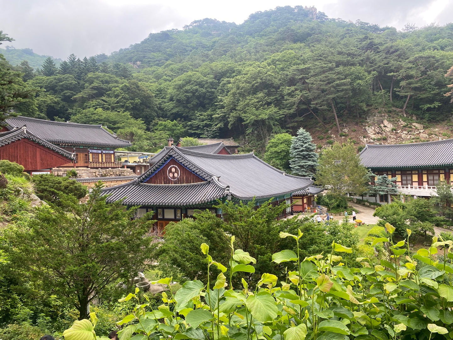 윤필암에서-내려다-본-산사