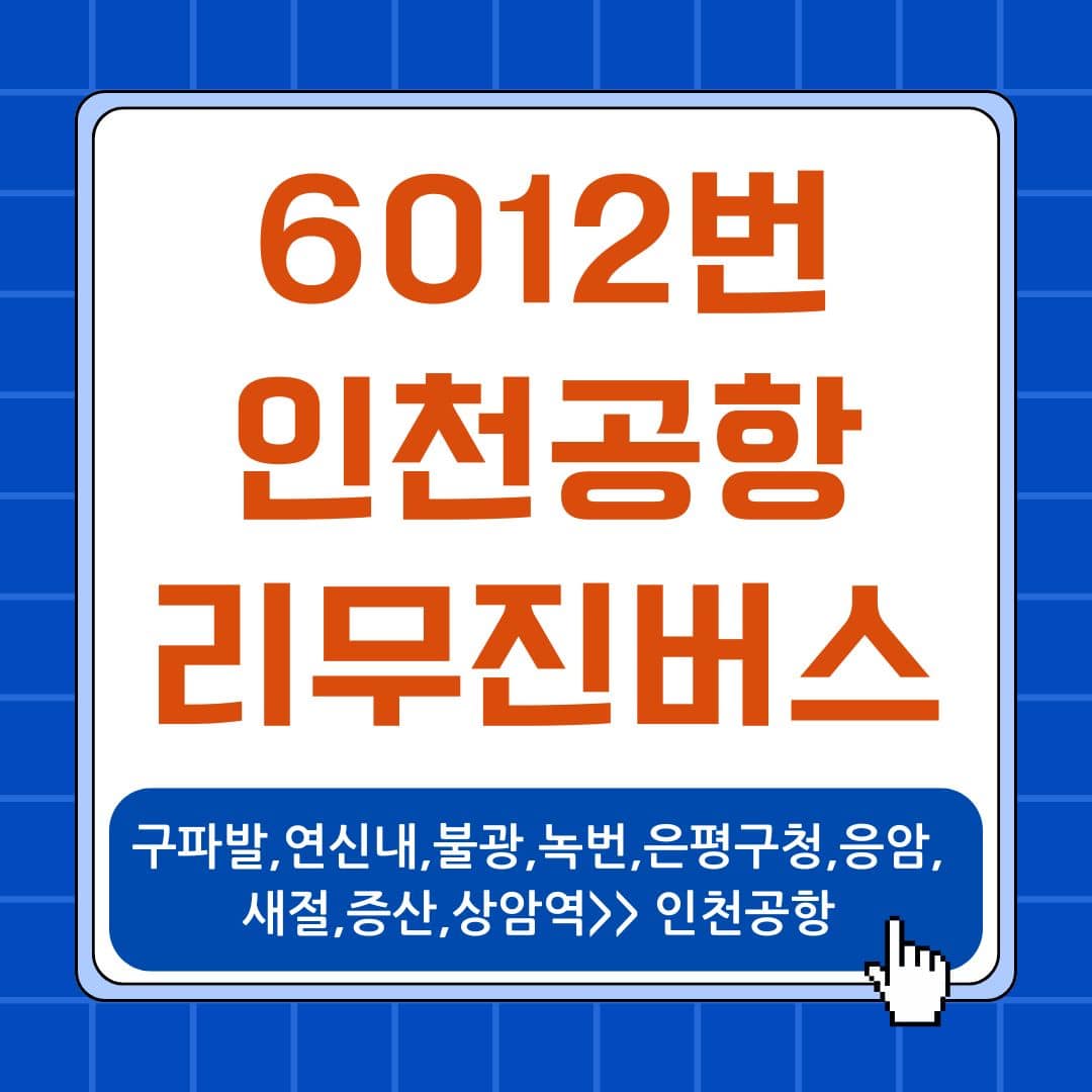 6012번 인천공항버스