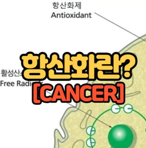 베타-시토스테롤-효능-부작용-건강