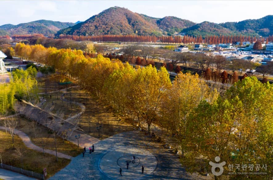 관방제림의-가을전경