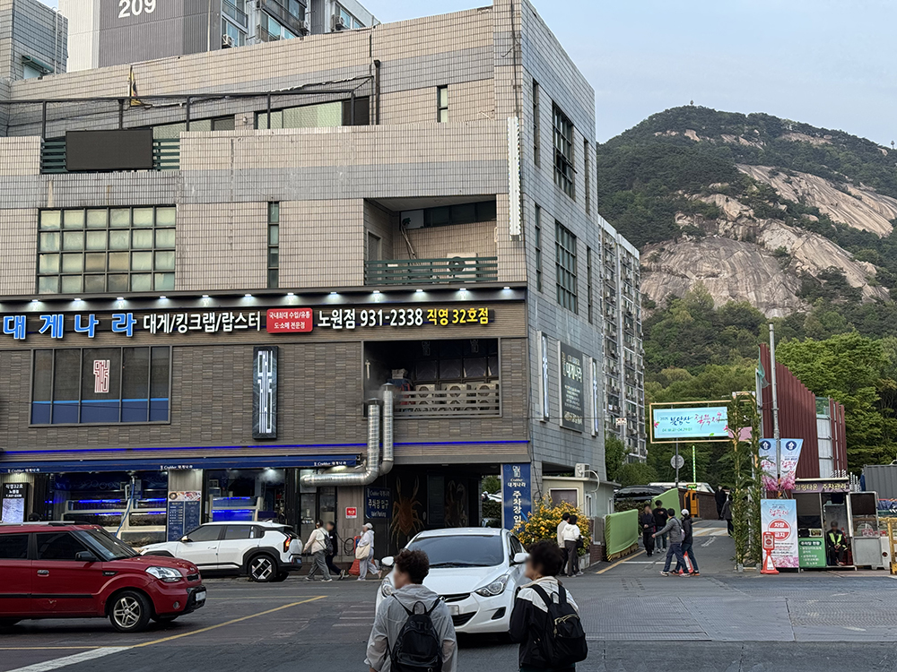 중계동 핫플레이스! 불암산 철쭉동산 주말 나들이 솔직 후기