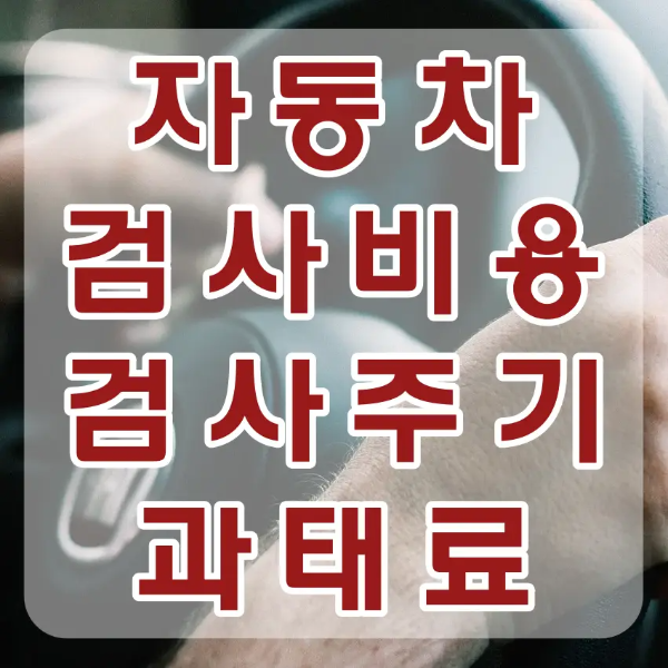검사-
자동차 검은 핸들위 올려진 두손 위 흰테두리 빨간글씨 자동차 검사비용 검사주기 과태료
