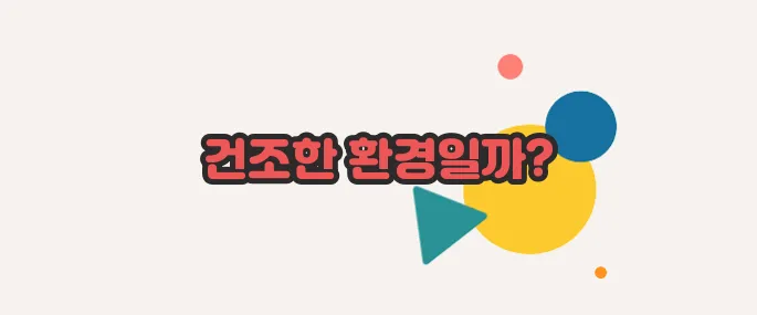 코피가 자주나는 이유 정확히 짚어볼게요