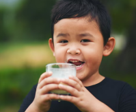 녹용 효능 부작용, 녹용 먹을 때 주의점, 녹용가격