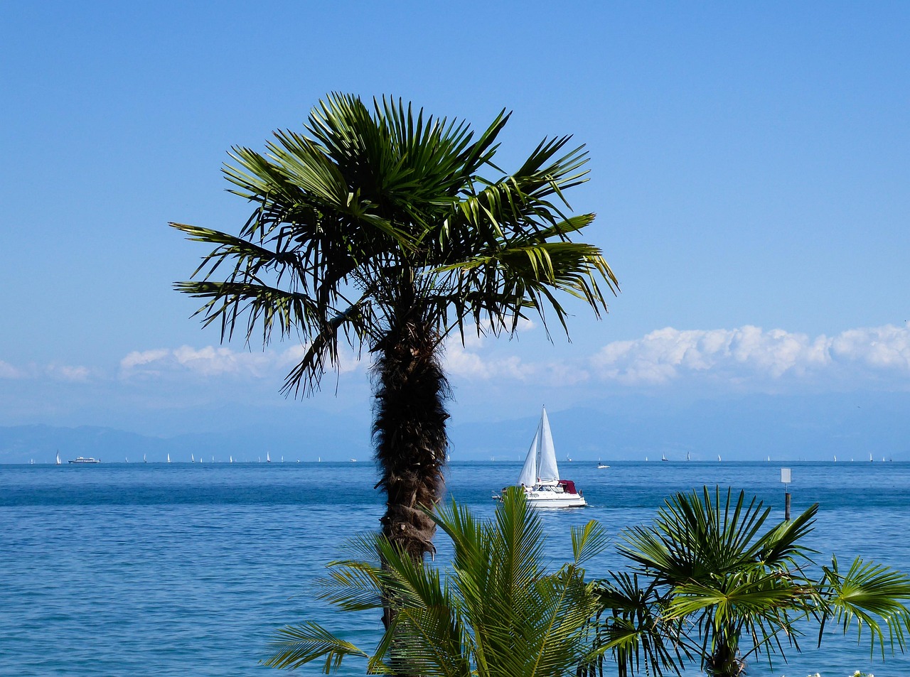 가족바다여행 추천 관련 이미지