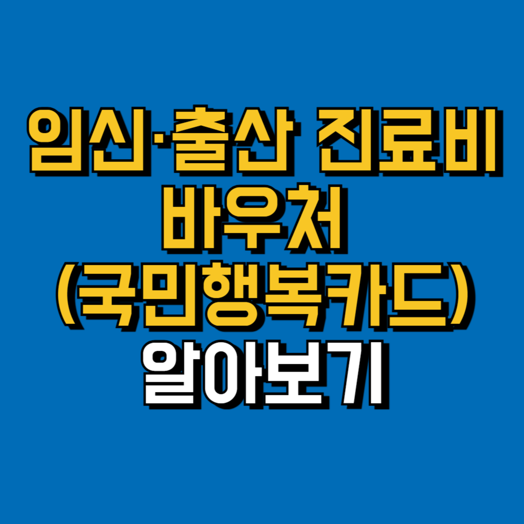 임신출산 진료비 바우처