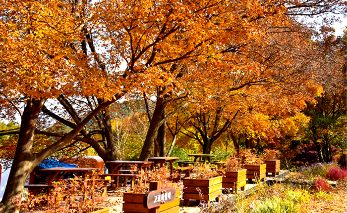 특색있고 아름다운 민간 정원 30선 추천 여행 - 23. 함양 하미앙정원