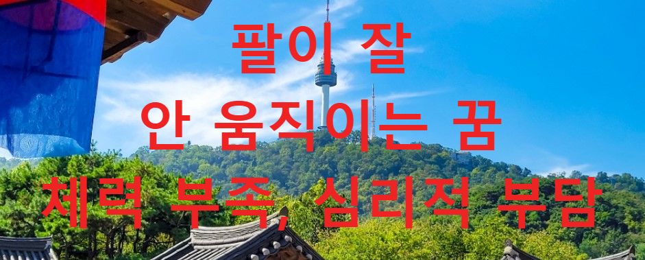 꿈과건강