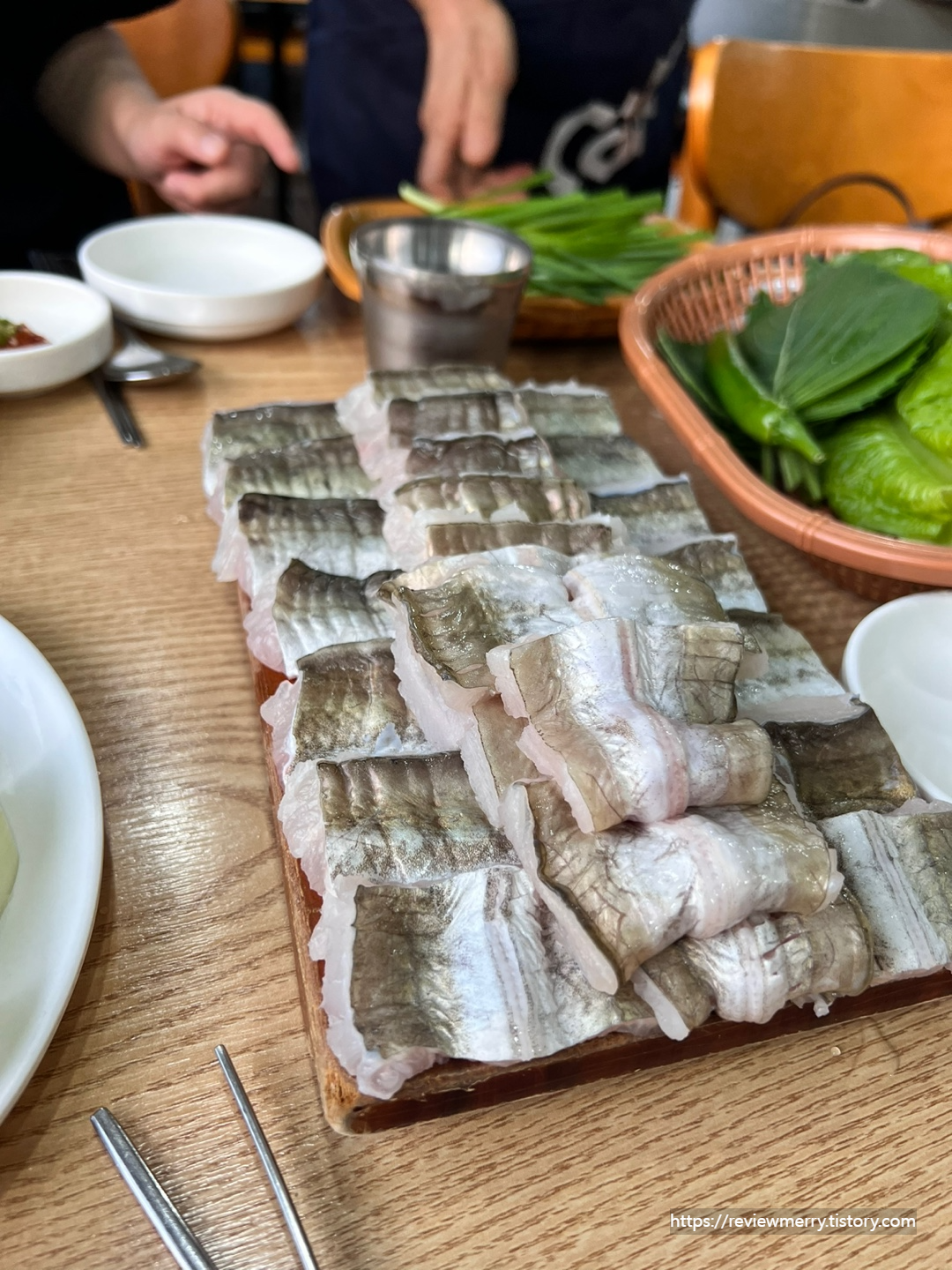 갯장어 사진