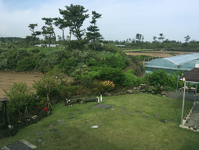 제주-소풍펜션-마당