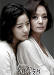 드라마 호박꽃순정