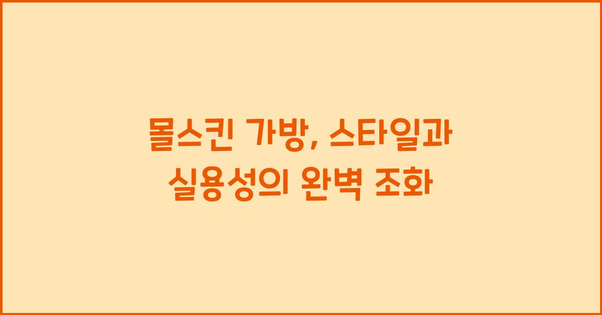 몰스킨 가방