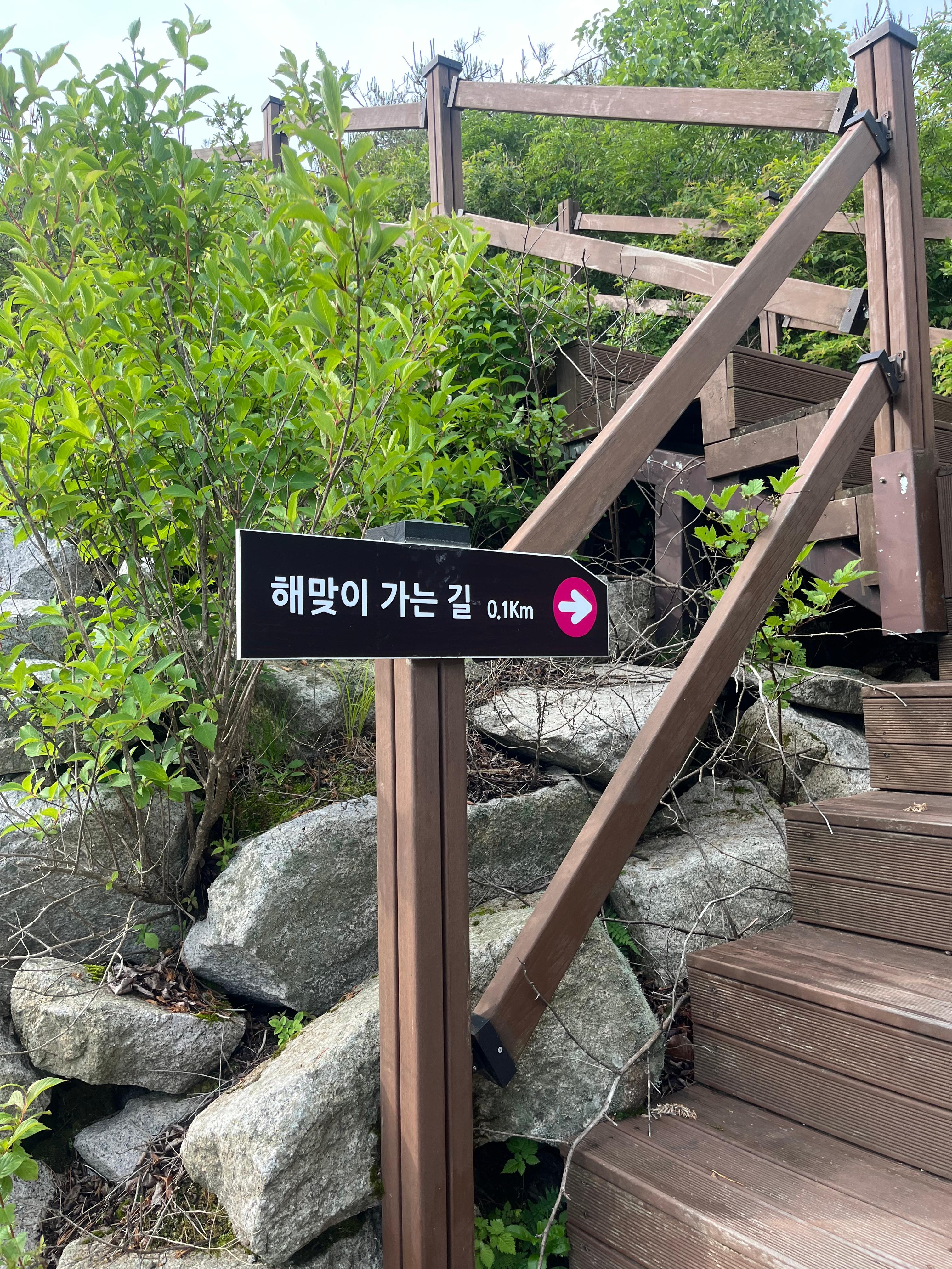 비슬산 해맞이 가는길