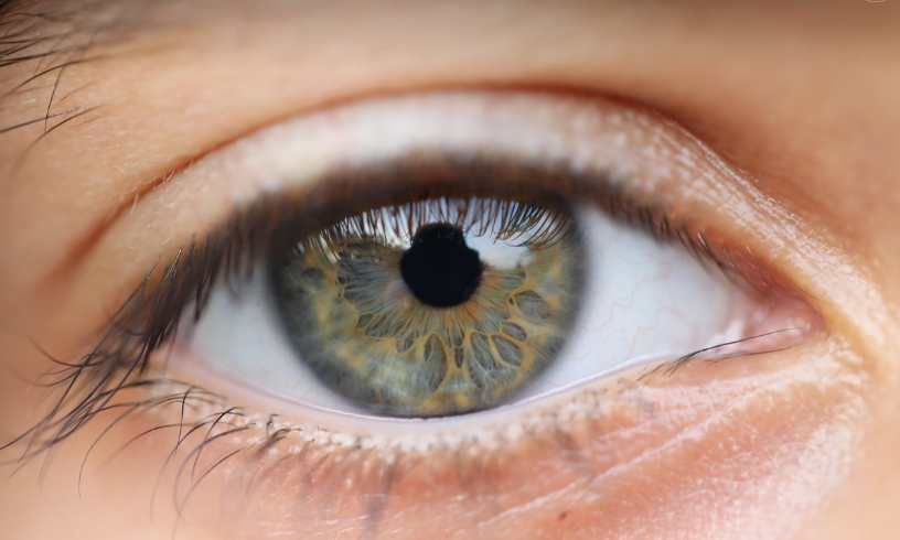 주부를 위한 눈 건강 관리법