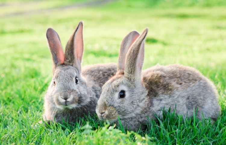 대구 네이처파크