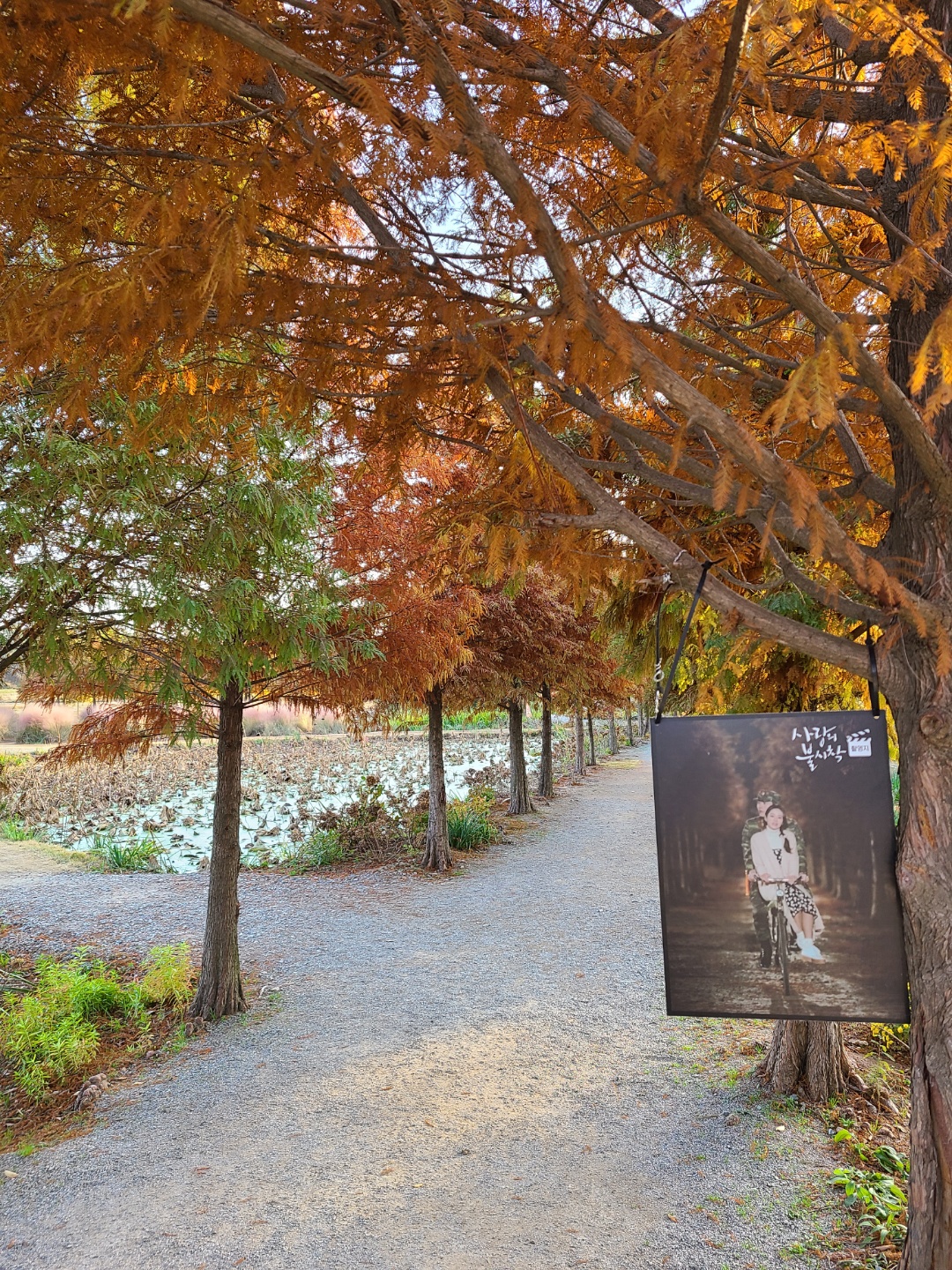 태안가볼만한곳-태안데이트-청산수목원-사랑의불시착촬영장소