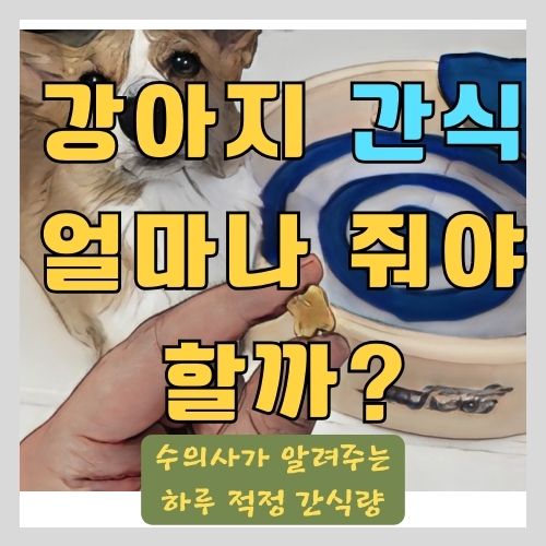 강아지가 하루에 먹어야 하는 적정 간식양은? 썸네일