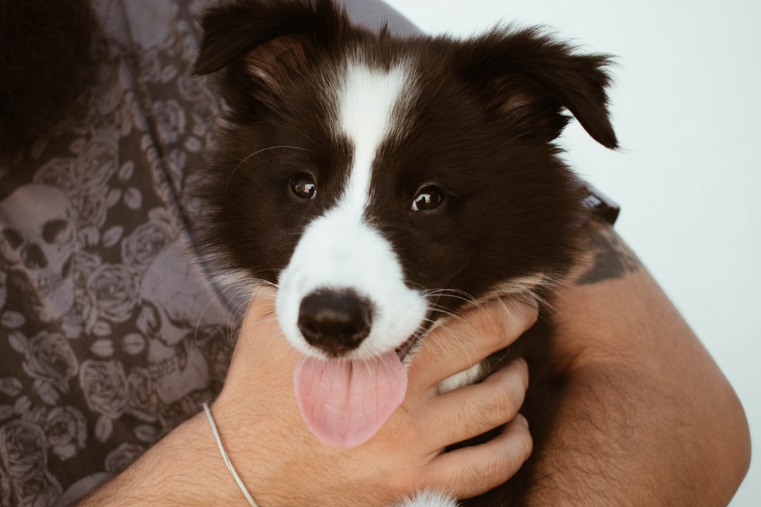 Tongue