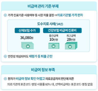 비급여란